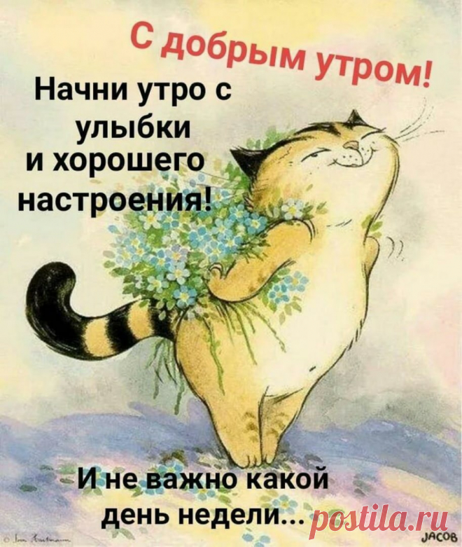 0_ZN5oUVgcY.jpg (913×1080)