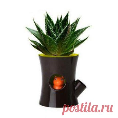 Подарки, сувениры, нужные мелочи