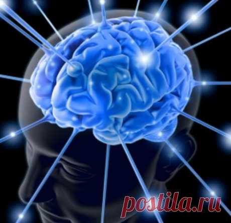 Рекомендации для эффективной работы мозга