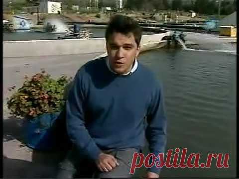 Икра осетра в пустыне. | Клуб интеллектуалов