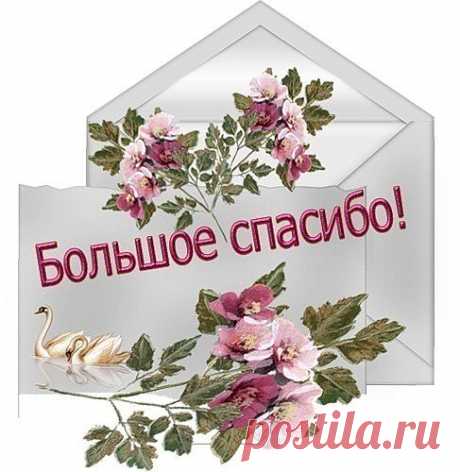 Шалфей дарит молодость.