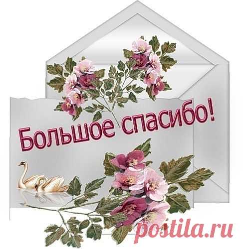 Шалфей дарит молодость.
