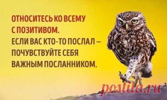 Эти способы помогут изменить вам свое отношение к жизни. 
Иногда обстоятельства изменить не получается — по крайней мере, не так быстро,
как хотелось бы. Мы не можем добраться до работы без пробок на дорогах или
толчеи в метро, не можем изменить неприятного человека или стереть прошлое. 
1. Для начала успокойте разум 
Чтобы контролировать мысли, нужно научиться их осознавать. Давайте попробуем:
сделаем глубокий вдох и постараемся освободить разум от всех разговоров. Так мы
создаем простра