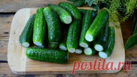 СУХИЕ малосольные огурцы! НОВЫЙ ВКУС Утром готовишь - вечером хрустишь!