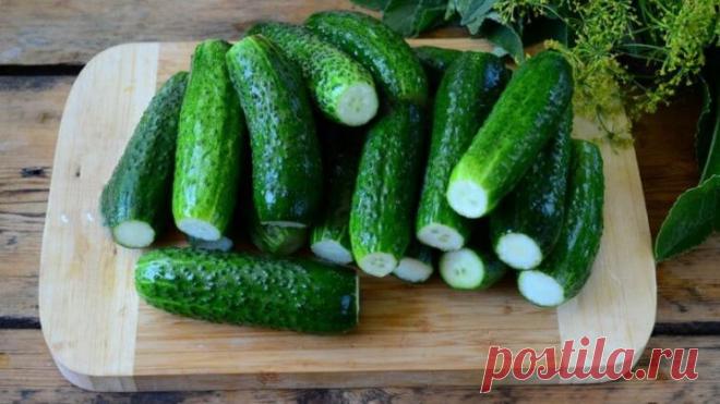 СУХИЕ малосольные огурцы! НОВЫЙ ВКУС Утром готовишь - вечером хрустишь!