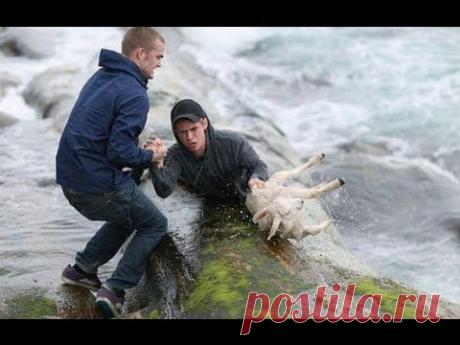 Это видео трогает до самой глубины! Вот в чем сила русской души.Смотреть до конца! - YouTube