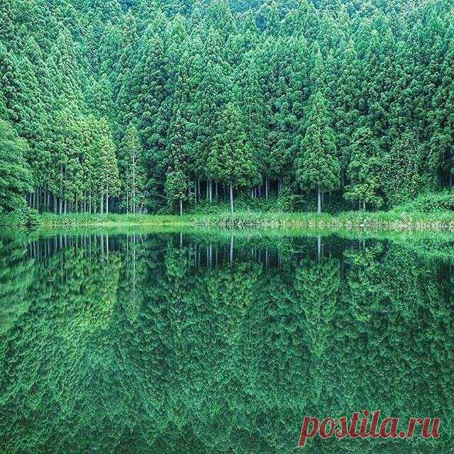 (4) Facebook