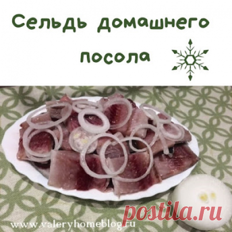 Домашний блог Валерии Питерской