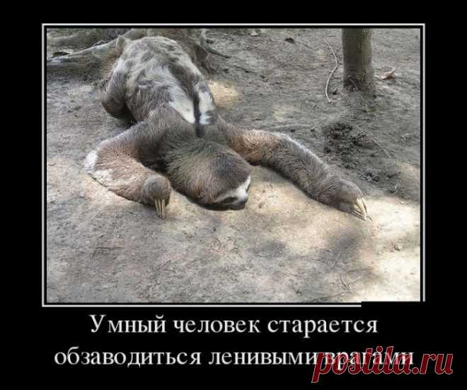 Демотиваторы для настроения / Приколы