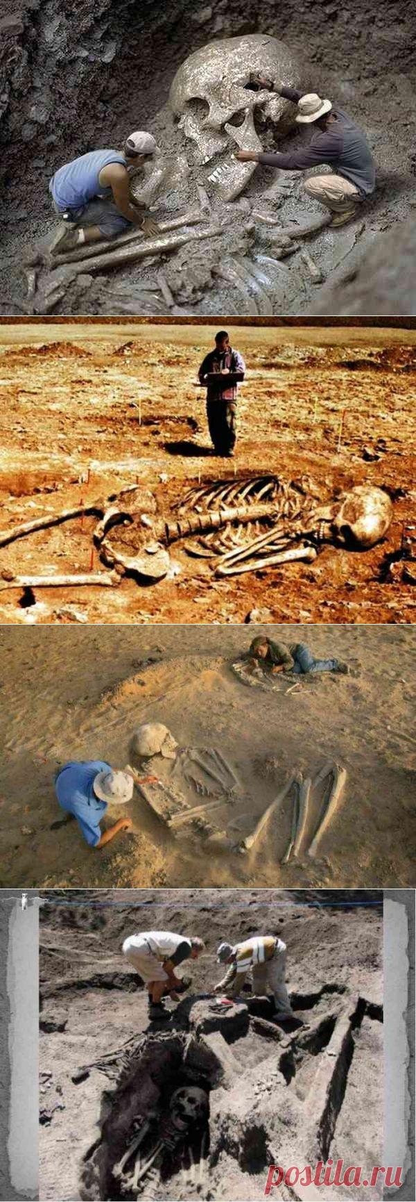 Смитсоновский институт признал, что уничтожил в начале 1900 годов тысячи гигантских человеческих скелетов