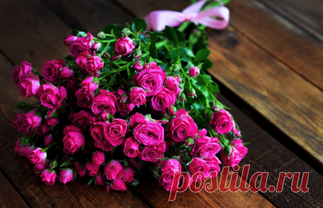 Литература