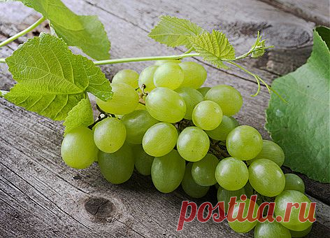 Виноград