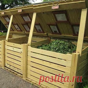 Можно ли класть в компостную яму гнилые яблоки и другие подгнившие продукты? - МирТесен
