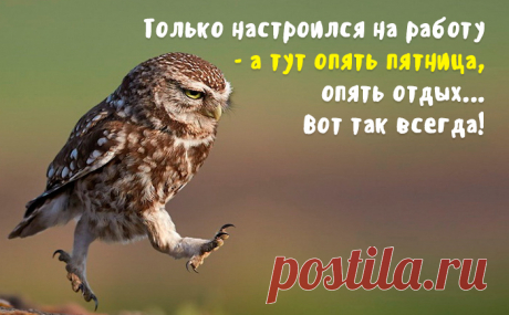 пятница - Поиск в Google