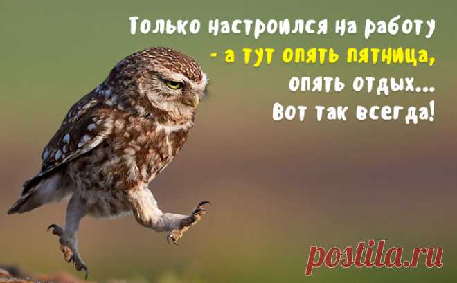 пятница - Поиск в Google