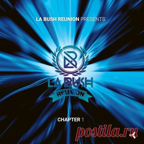 VA - La Bush Reunion (Chapter 1) [ENIGMA201018]