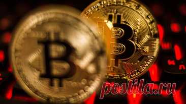 Стоимость биткоина впервые в истории превысила 113 тысяч долларов
