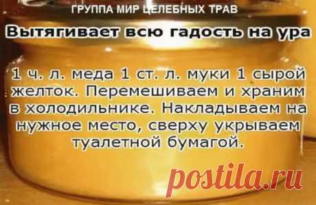 (12) Одноклассники