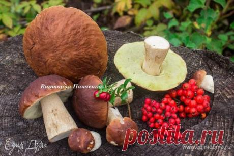 Маринованные белые грибы. Ингредиенты: грибы белые, соль крупного помола, сахар