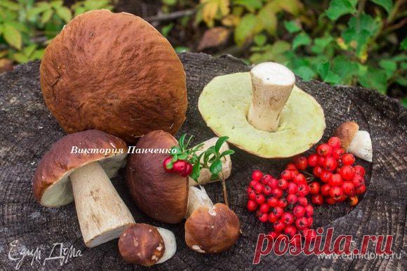 Маринованные белые грибы. Ингредиенты: грибы белые, соль крупного помола, сахар