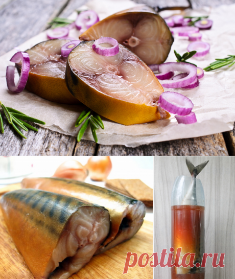 Как вкусно засолить скумбрию