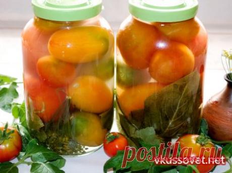 Квашеные помидоры на зиму