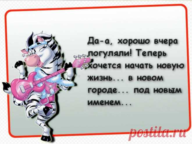 Анекдоты про нашу жизнь. А может и не анекдоты... | Мистика и реальность С. Миррай | Яндекс Дзен