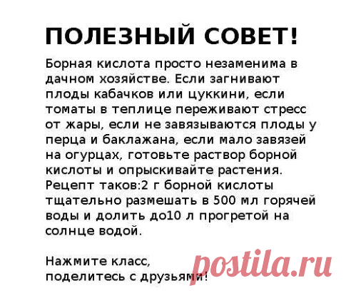 ПОЛЕЗНЫЕ СОВЕТЫ ОГОРОДНИКАМ!!!
-------------------------------------------------------------------------------------------
Чтобы не потерять рецепт , жмите класс, а потом поделиться.
-------------------------------------------------------------------------------------------