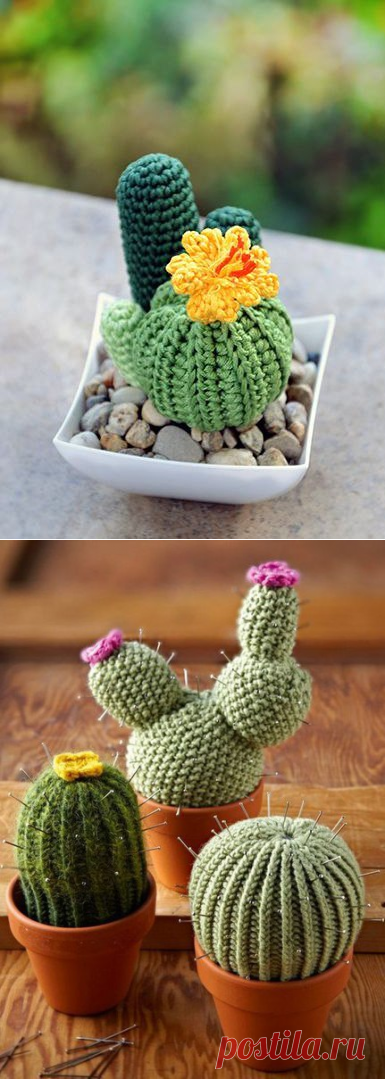 Вязаные кактусы