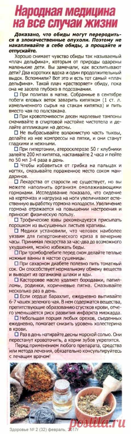 Народная медицина на все случаи жизни