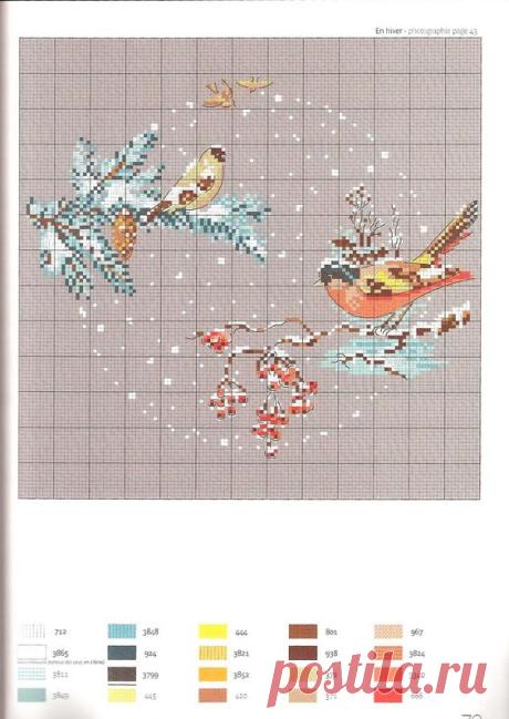 (14) Pinterest