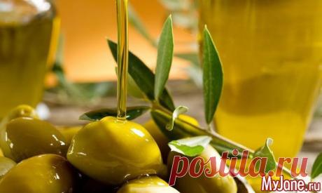 Олива и оливковое масло - оливки, оливковое масло, пикассо, оливковая ветвь, Библия