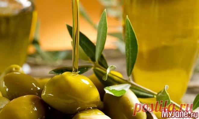 Олива и оливковое масло - оливки, оливковое масло, пикассо, оливковая ветвь, Библия