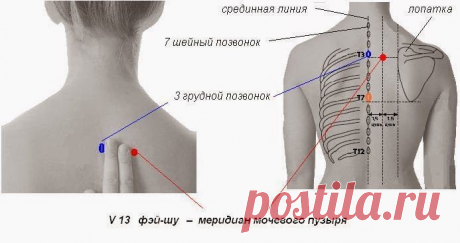 Целительные точки при простуде и гриппе При гриппозных состояниях и для профилактики во время эпидемии вирусных и инфекционных заболеваний последовательно простукиваем следующие точки.