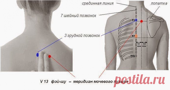 Целительные точки при простуде и гриппе При гриппозных состояниях и для профилактики во время эпидемии вирусных и инфекционных заболеваний последовательно простукиваем следующие точки.