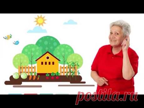 Голова садовая - Что делать сейчас с гладиолусами
