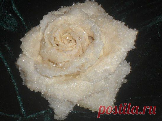 Сахарные розы