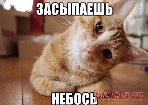 Мой Мир@Mail.Ru