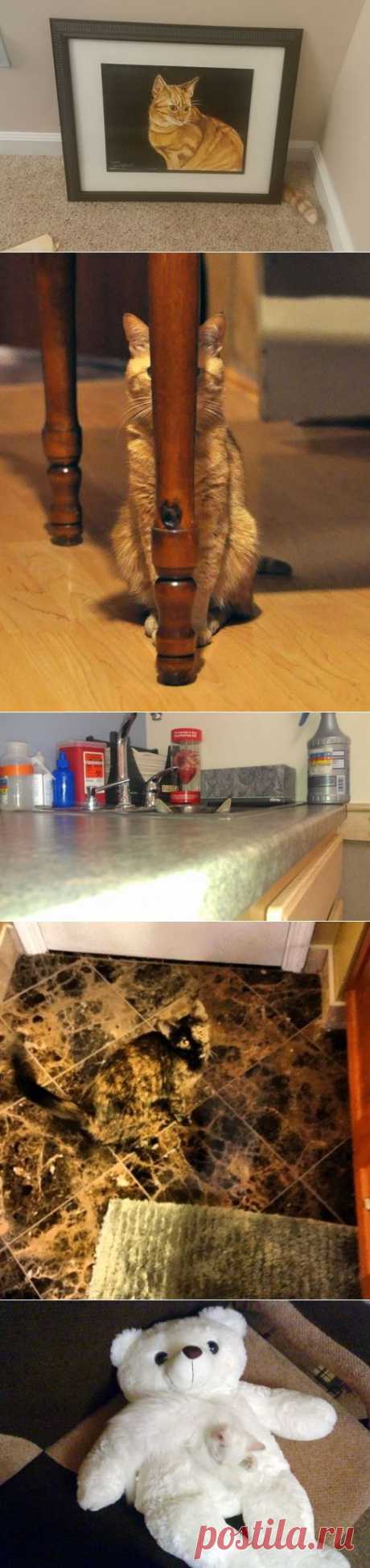 Мастера маскировки... | Позитив