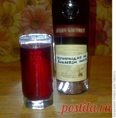 Черноплодка на вишневом листе