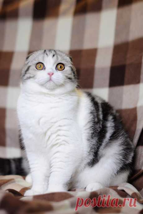 USMpee4kVtA.jpg (683×1024)