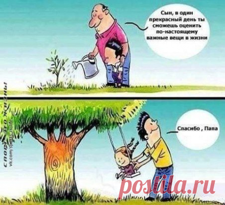(47) Одноклассники