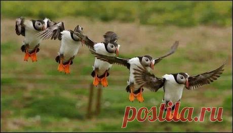 Интересные новости