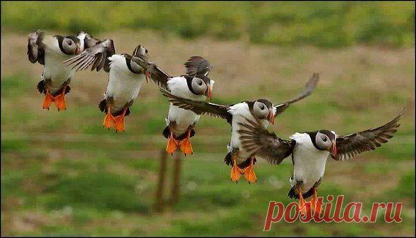 Интересные новости