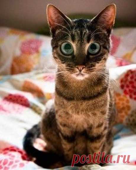 Мама - пример для подражания / Surfingbird - проводи время с пользой для себя!