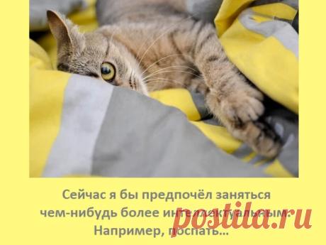 Мировые секреты | Яндекс Дзен