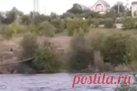 Переправу ВСУ снесло после ракетной атаки на Кривой Рог. После ракетной атаки на Кривой Рог Днепропетровской области в реке Ингулец поднялась вода. В результате переправа Вооруженных сил Украины в районе Давыдов Брода была снесена. Об этом сообщил военный корреспондент Александр Коц. По словам журналиста, аналогичная ситуация наблюдалась в районе Ирпеня.