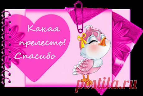 ЖИВАЯ И МЕРТВАЯ ВОДА - ПОВЕСЬТЕ РАСПИСАНИЕ ВРЕМЕНИ НА КУХНЕ!.