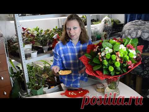 Чеснок портится: что делать