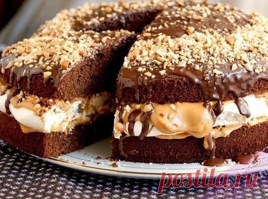 Хитрости Жизни